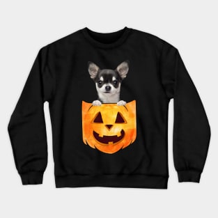 Black Chihuahua Dog In Pumpkin Pocket Halloween Crewneck Sweatshirt